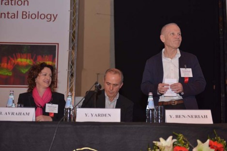 ILANIT FISEB Congress 2014